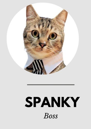 Spanky — Boss, Airmotion Inc.
