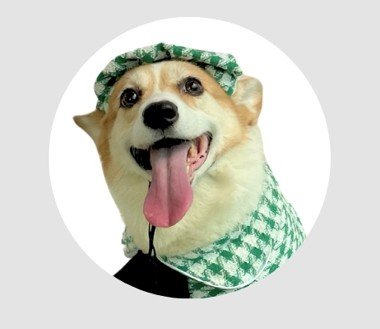 Pat00t00ts — Manager, Airmotion Inc.