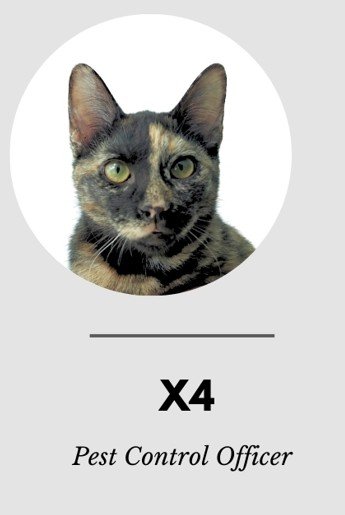 Aircat X4 — Pest Control Officer, Airmotion Inc.