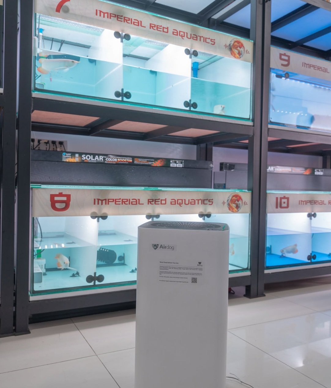 Specialty aquatics store with Airdog