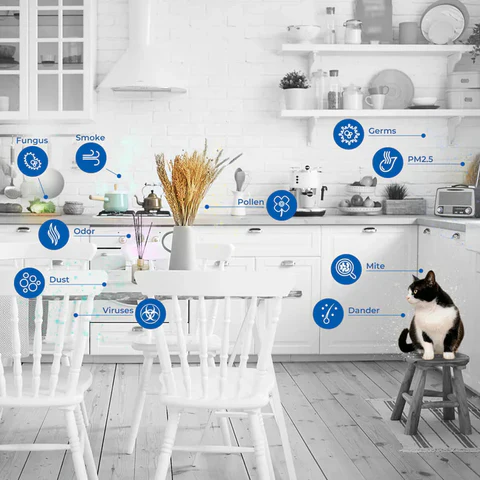 Common indoor air pollutants — fungus, smoke, pollen, germs, PM2.5, odor, dust, mites, viruses, and dander — illustrated in a typical home kitchen