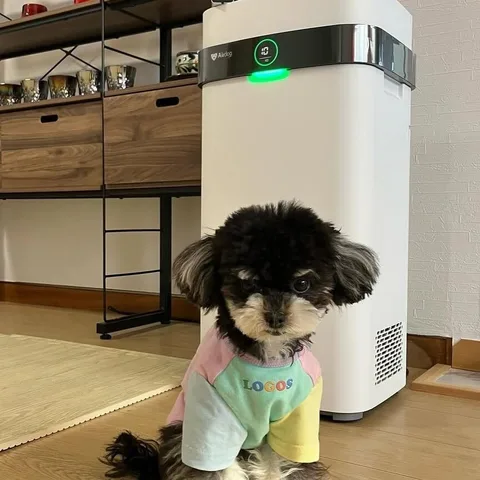 Airdog Philippines Air Purifier Customer Review